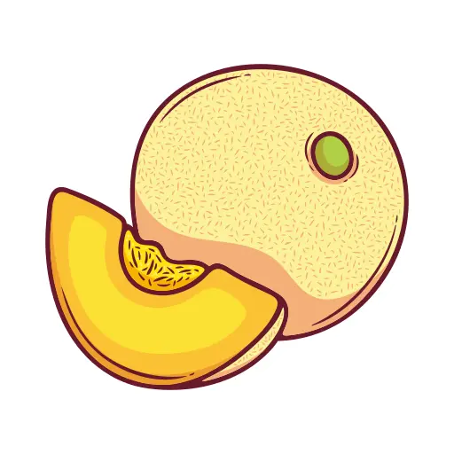 Melon