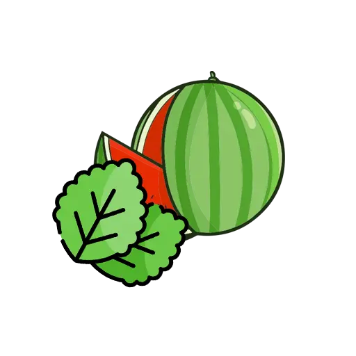 Watermelon Mint
